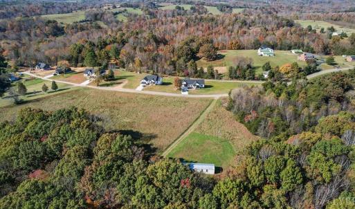 Photo #7 of 1704 Wingfield Drive, Goode, VA 21.7 acres