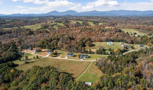 Photo #8 of 1704 Wingfield Drive, Goode, VA 21.7 acres