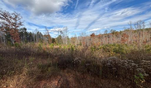 Photo #2 of Colemans Mill Road, Gladstone, VA 8.0 acres