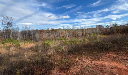Photo #3 of Colemans Mill Road, Gladstone, VA 8.0 acres