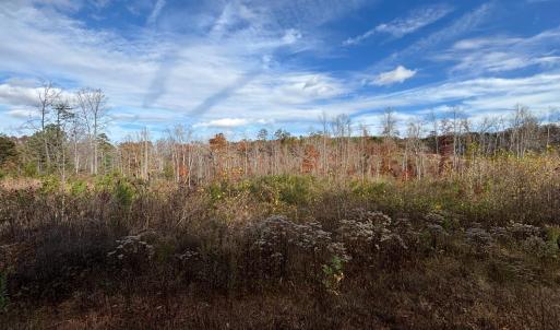 Photo #1 of Colemans Mill Road, Gladstone, VA 8.0 acres