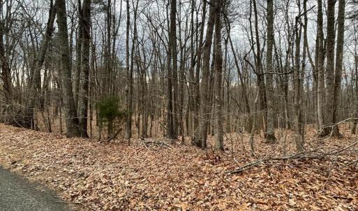 Photo #6 of Swan Creek Road, Gladys, VA 16.1 acres