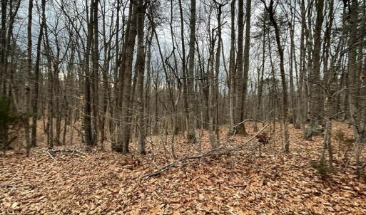 Photo #2 of Swan Creek Road, Gladys, VA 16.1 acres
