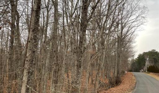 Photo #12 of Swan Creek Road, Gladys, VA 16.1 acres