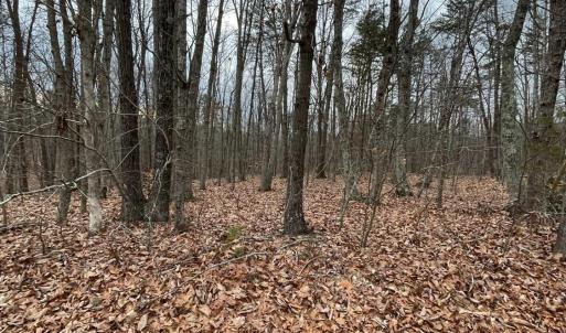 Photo #8 of Swan Creek Road, Gladys, VA 16.1 acres