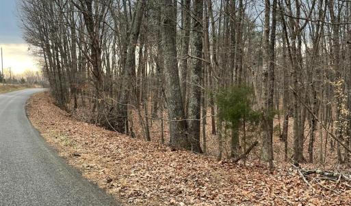Photo #3 of Swan Creek Road, Gladys, VA 16.1 acres
