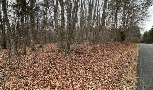 Photo #10 of Swan Creek Road, Gladys, VA 16.1 acres