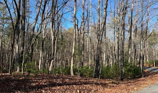Photo #2 of Pera Road, Naola, VA 0.3 acres
