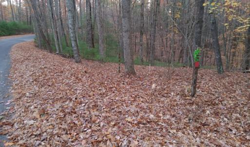 Photo #3 of Pera Road, Naola, VA 0.3 acres