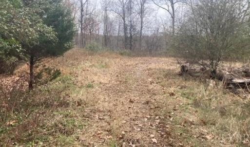 Approaching first flat clearing into property