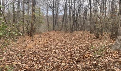 clearing going down into property (grading going down into right side of property)