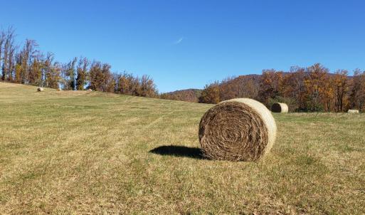 Photo #6 of Lexington Turnpike, Amherst, VA 100.9 acres