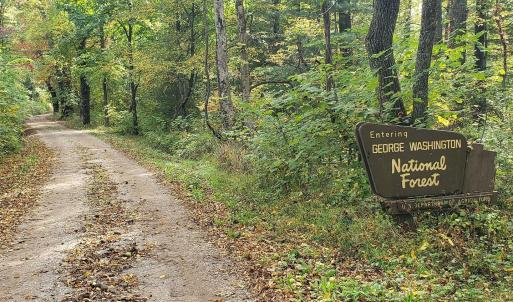 Photo #14 of Lexington Turnpike, Amherst, VA 100.9 acres
