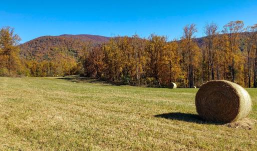 Photo #11 of Lexington Turnpike, Amherst, VA 67.9 acres