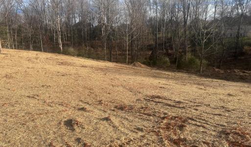 Photo #3 of 9 Lakepointe Drive, Forest, VA 1.5 acres