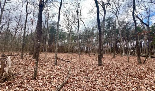 Photo #15 of 6000 Wards Road, Rustburg, VA 9.2 acres