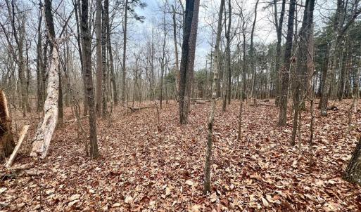Photo #14 of 6000 Wards Road, Rustburg, VA 9.2 acres