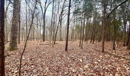 Photo #13 of 6000 Wards Road, Rustburg, VA 9.2 acres