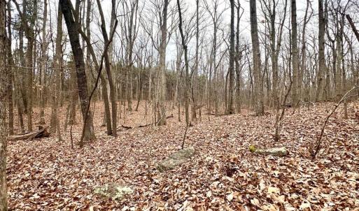 Photo #17 of 6000 Wards Road, Rustburg, VA 9.2 acres