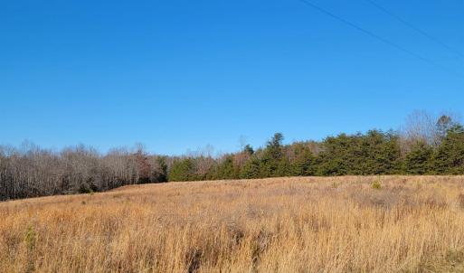 Photo #7 of 24 Down Creek Road, Brookneal, VA 14.9 acres