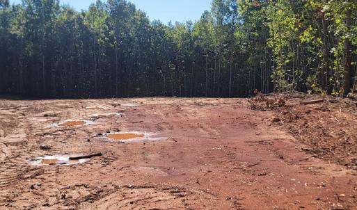 Photo #4 of 24 Down Creek Road, Brookneal, VA 14.9 acres