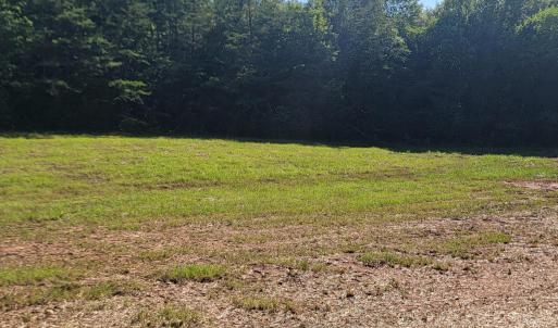 Photo #6 of 24 Down Creek Road, Brookneal, VA 14.9 acres