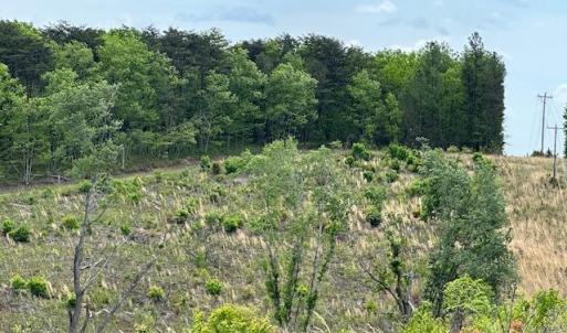 Photo #3 of Leesville Road, Lynch Station, VA 15.9 acres