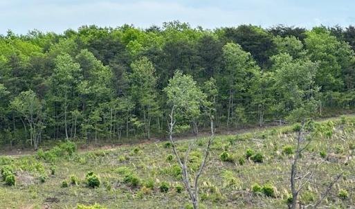 Photo #2 of Leesville Road, Lynch Station, VA 15.9 acres