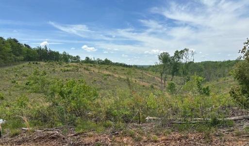 Photo #4 of Leesville Road, Lynch Station, VA 15.9 acres