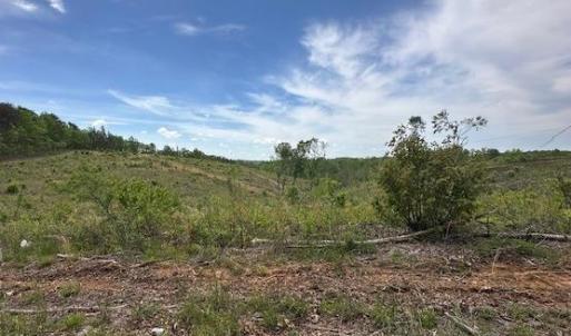 Photo #5 of Leesville Road, Lynch Station, VA 15.9 acres