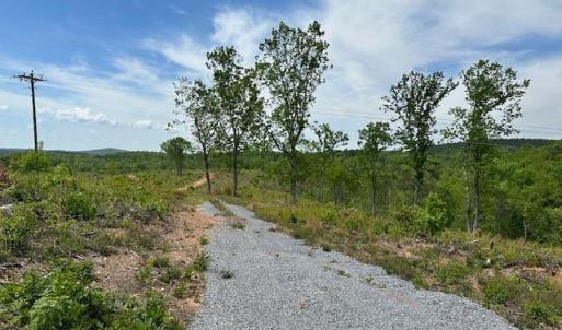 Photo #2 of Leesville Road, Lynch Station, VA 23.4 acres