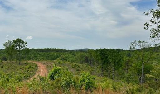 Photo #3 of Leesville Road, Lynch Station, VA 23.4 acres