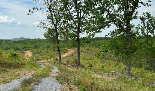 Photo #1 of Leesville Road, Lynch Station, VA 23.4 acres