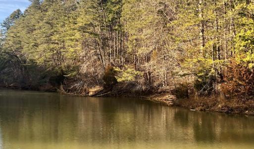 Photo #3 of Clear Pointe Run, Lynch Station, VA 0.6 acres