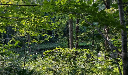 Photo #10 of Clear Pointe Run, Lynch Station, VA 3.0 acres