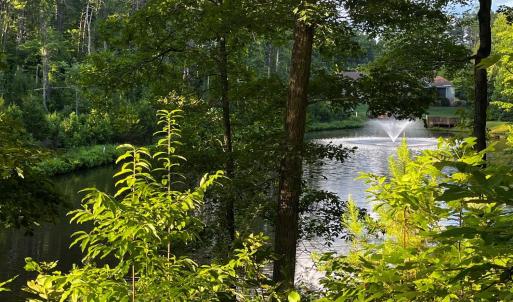 Photo #1 of Clear Pointe Run, Lynch Station, VA 3.0 acres