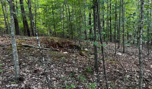 Photo #8 of Clear Pointe Run, Lynch Station, VA 3.0 acres