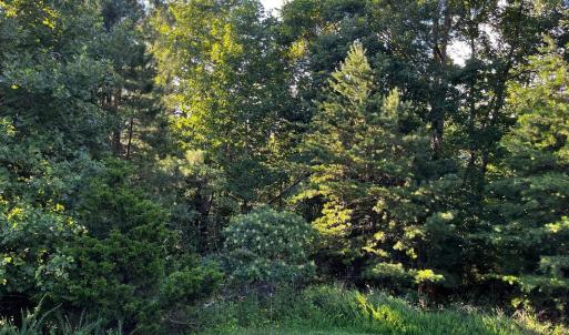 Photo #5 of Clear Pointe Run, Lynch Station, VA 3.0 acres