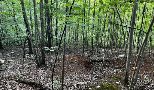 Photo #9 of Clear Pointe Run, Lynch Station, VA 3.0 acres