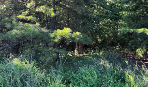 Photo #6 of Clear Pointe Run, Lynch Station, VA 3.0 acres