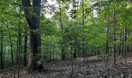 Photo #7 of Clear Pointe Run, Lynch Station, VA 3.0 acres