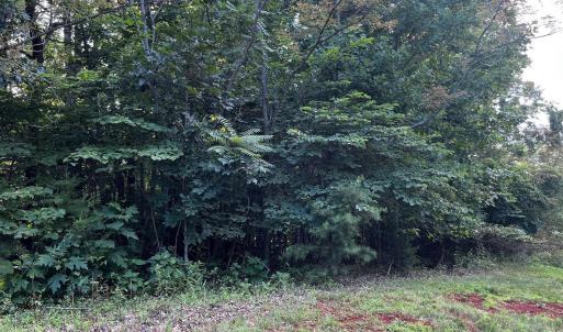 Photo #5 of Bay View Rd, Lynch Station, VA 1.9 acres