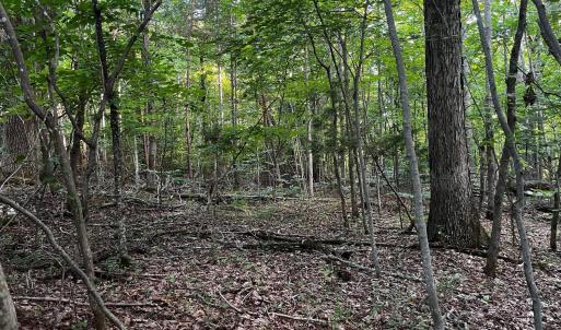 Photo #4 of Bay View Rd, Lynch Station, VA 1.9 acres