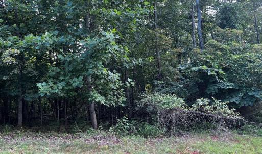 Photo #3 of Bay View Rd, Lynch Station, VA 1.9 acres