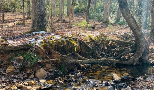Photo #21 of Main Street, Hurt, VA 45.3 acres
