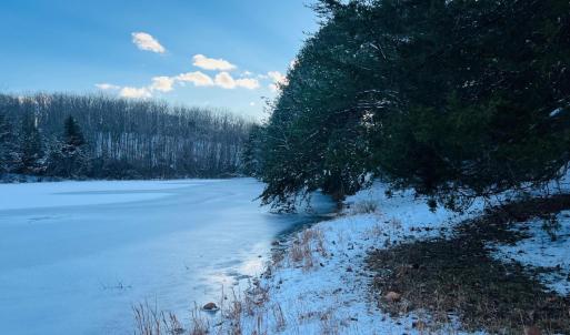 Photo #16 of Main Street, Hurt, VA 45.3 acres