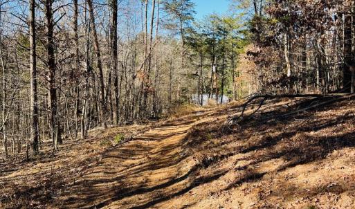 Photo #17 of Main Street, Hurt, VA 45.3 acres