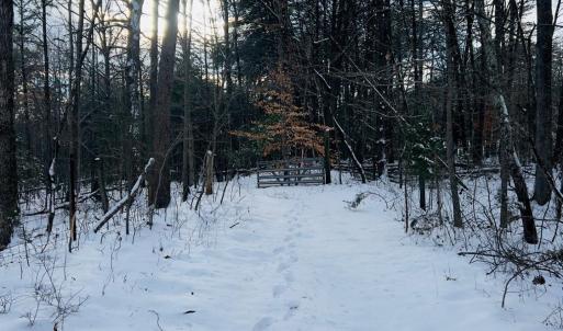 Photo #36 of Main Street, Hurt, VA 45.3 acres