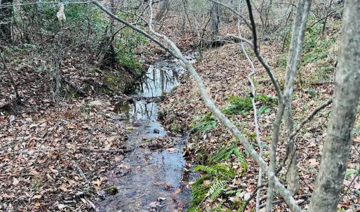 Photo #22 of Main Street, Hurt, VA 45.3 acres