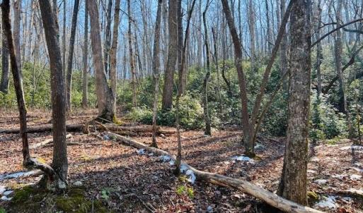 Photo #18 of Main Street, Hurt, VA 45.3 acres